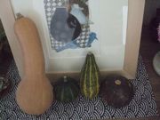 ファイル 1999-1.jpg