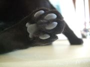 ファイル 2003-1.jpg