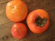 ファイル 2013-1.jpg