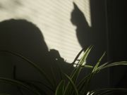 ファイル 2014-1.jpg