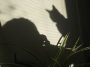 ファイル 2014-2.jpg