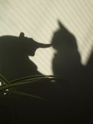 ファイル 2014-3.jpg