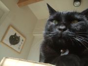 ファイル 2017-1.jpg