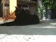 ファイル 2018-1.jpg