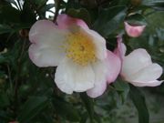 ファイル 2019-1.jpg