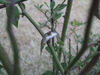 ファイル 2024-1.jpg