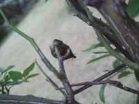 ファイル 2024-2.jpg