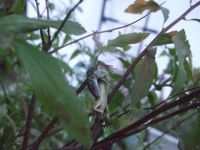 ファイル 2024-3.jpg