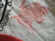 ファイル 2029-2.jpg