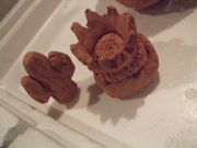 ファイル 2032-5.jpg