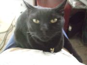 ファイル 2034-4.jpg