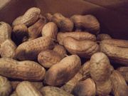 ファイル 2040-1.jpg