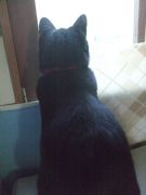 ファイル 2042-1.jpg