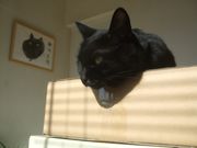 ファイル 2044-2.jpg