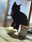 ファイル 2044-3.jpg