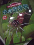 ファイル 2048-1.jpg