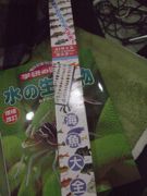 ファイル 2048-2.jpg