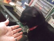 ファイル 2050-1.jpg