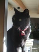 ファイル 2059-1.jpg