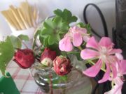 ファイル 2063-1.jpg