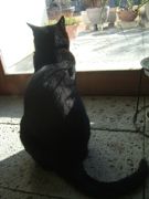 ファイル 2064-1.jpg