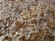 ファイル 2068-1.jpg