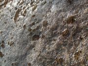 ファイル 2068-2.jpg