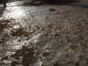 ファイル 2068-3.jpg