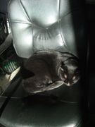 ファイル 2070-1.jpg