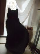 ファイル 2075-1.jpg