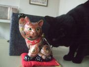 ファイル 2078-3.jpg