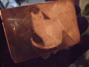 ファイル 2079-1.jpg