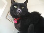 ファイル 2081-1.jpg