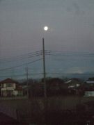 ファイル 2082-1.jpg