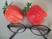 ファイル 2089-1.jpg