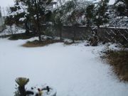 ファイル 2090-1.jpg