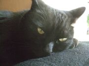 ファイル 2093-1.jpg