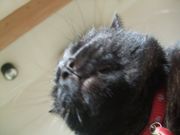 ファイル 2096-1.jpg