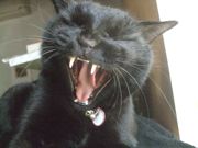 ファイル 2096-2.jpg