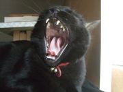 ファイル 2096-3.jpg