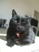 ファイル 2096-4.jpg