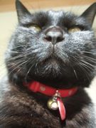 ファイル 2105-3.jpg