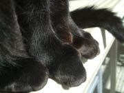 ファイル 2111-3.jpg