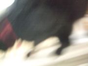 ファイル 2111-4.jpg