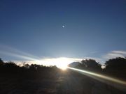 ファイル 2117-3.jpg