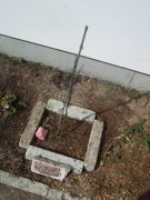 ファイル 2124-1.jpg