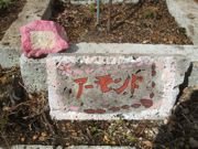 ファイル 2124-2.jpg