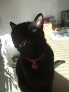 ファイル 2125-1.jpg