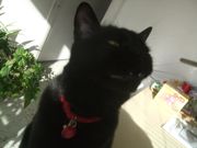 ファイル 2125-2.jpg