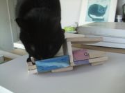 ファイル 2127-1.jpg